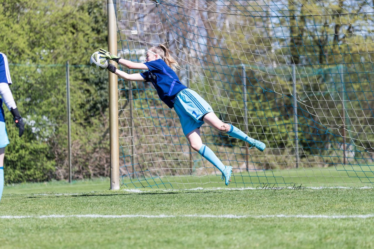 Bild 153 - wBJ Hamburger SV - WfL Wolfsburg : Ergebnis: 2:1